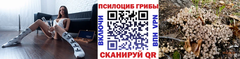 Псилоцибиновые грибы GOLDEN TEACHER  shop телеграм  Красный Кут  что такое наркотик 