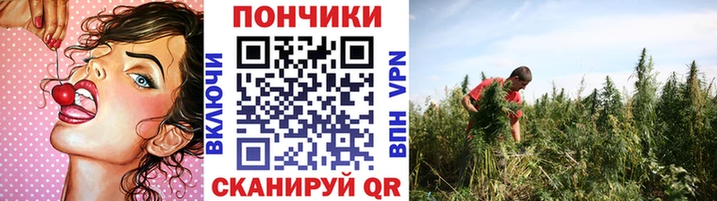 даркнет сайт  Красный Кут  Шишки марихуана марихуана 